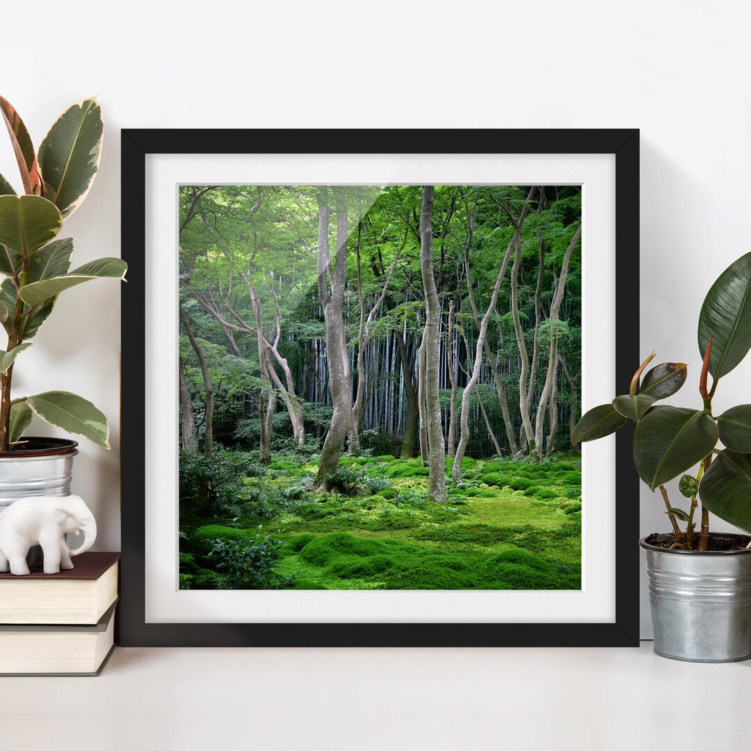 Gerahmtes Poster Japanese Forest