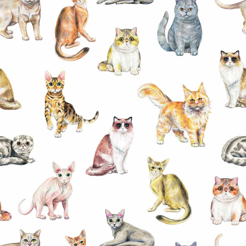 Panneau de papier peint adhésif pour chat, L 8,5 po x l 24 po