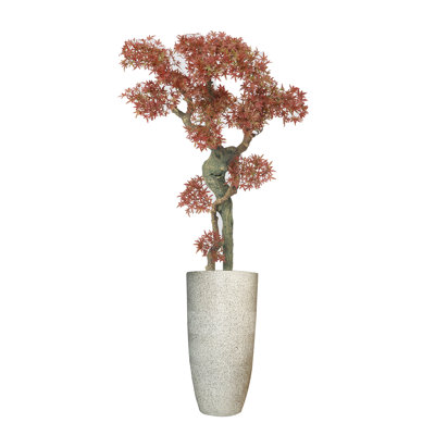 Plante de bonsaï 58 po H