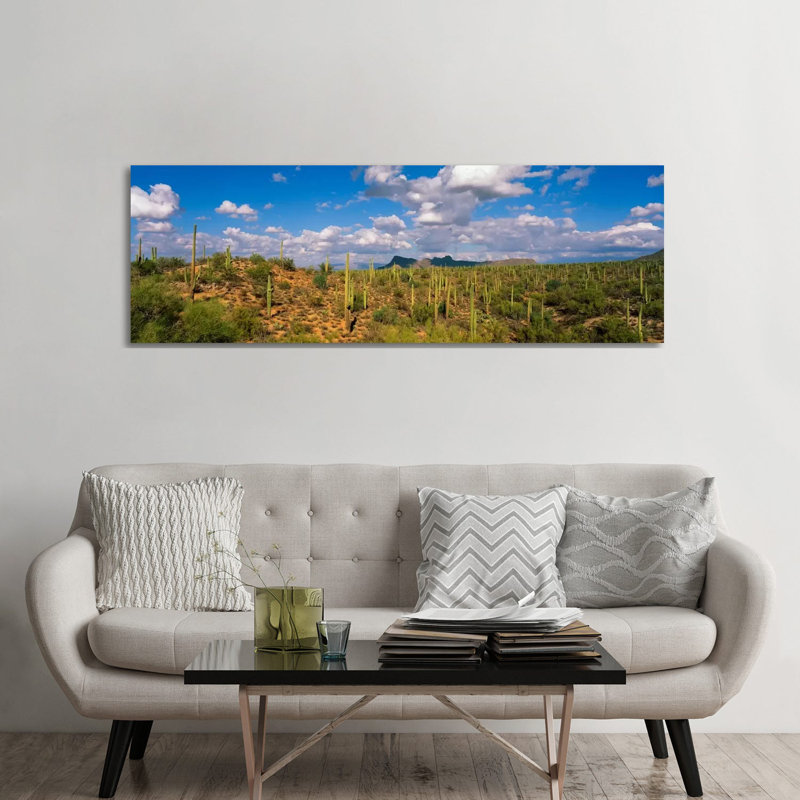 Saguaro National Park Tucson AZ USA - Wrapped Canvas Panoramic Print, 182.88 cm H x 60.96 cm W