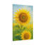 Aaroon Single Picture Frame Print on Canvas-2015368690