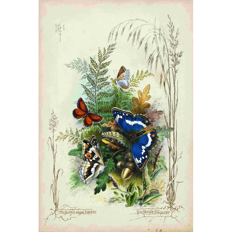 Jardin victorien des papillons III, H 12 po x l 8 po
