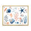 «Blue and Pink Seashells on White», reproduction sur toile-67236506-67236522