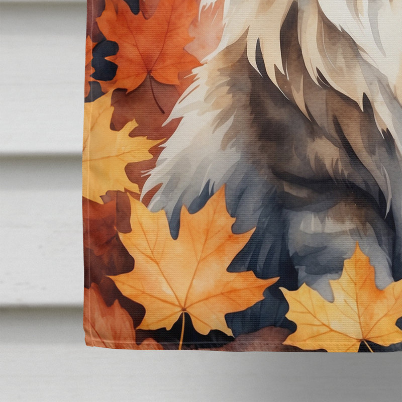 Chat en feuilles d'automne, Sibérien