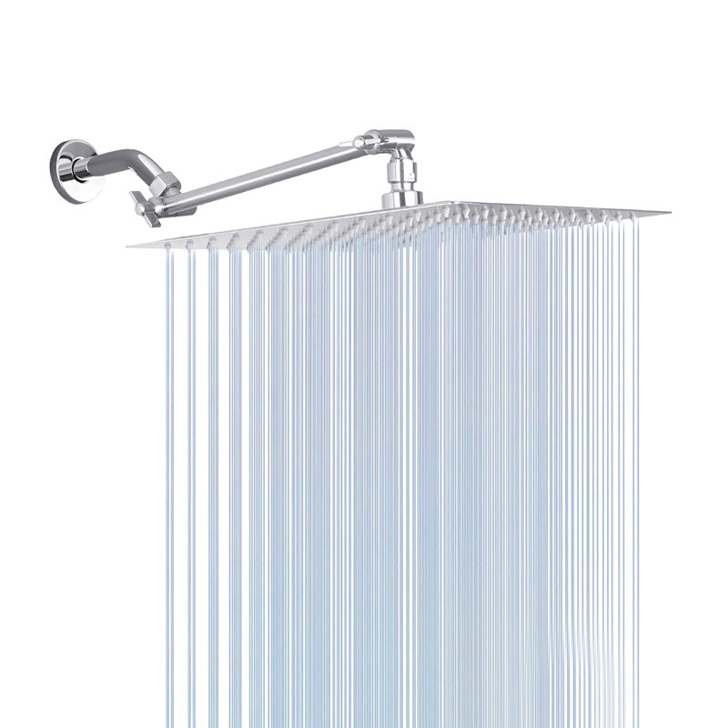 Rain Adjustable Shower Head 2.5 GPM GPM, Chrome