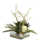 D & W Silks Protea Arrangement in Planter | Wayfair