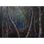 Sylvan Depths Print