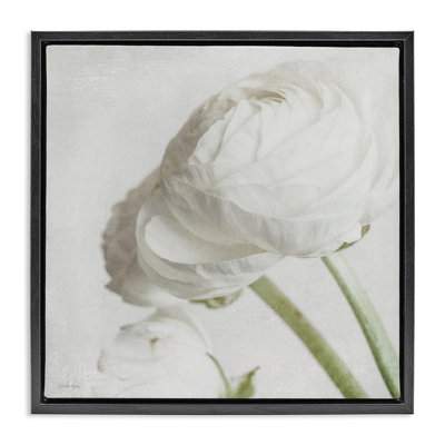 Charmante pivoine blanche encadrée par Jennifer Rigsby