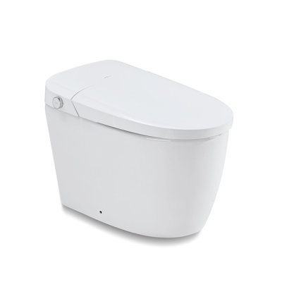 Smart Toilet Bidet Dual-Flush, Foot Sensor Flush,Blackout Flush,Elongated Bidet Toilet