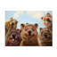 «Selfie Down Under No 2» par Lucia Heffernan - peinture sur toile tendue-1555591727