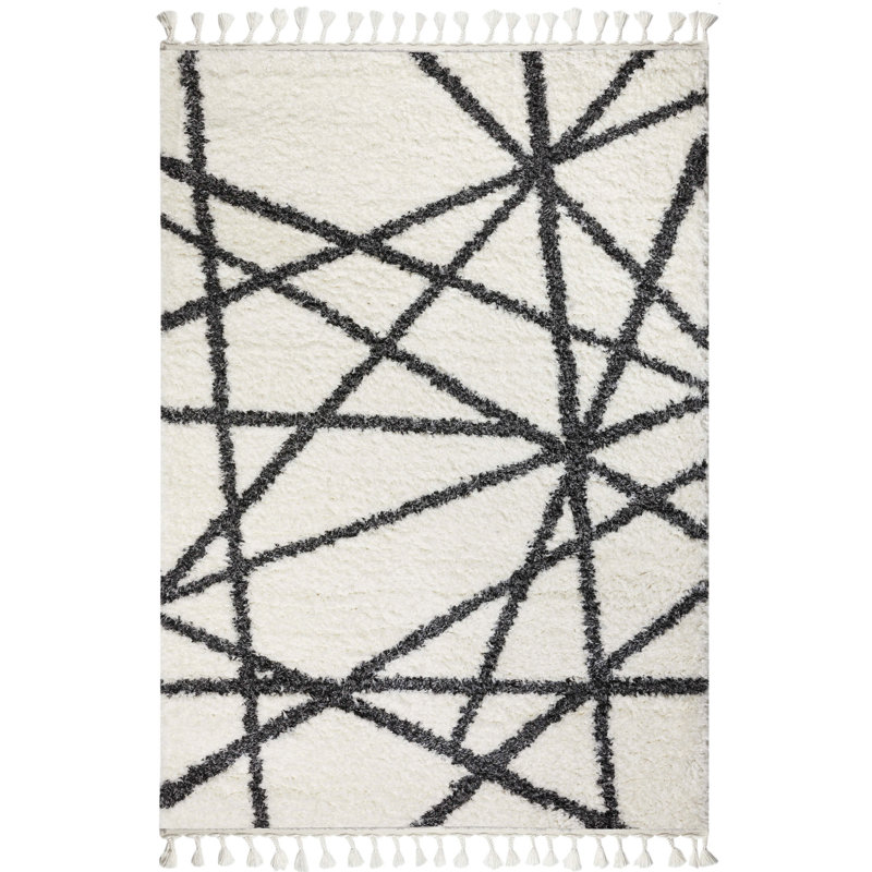 Tapis gris anthracite à poils longs Accursia, Rectangle 4 pi x 5 pi 11 po
