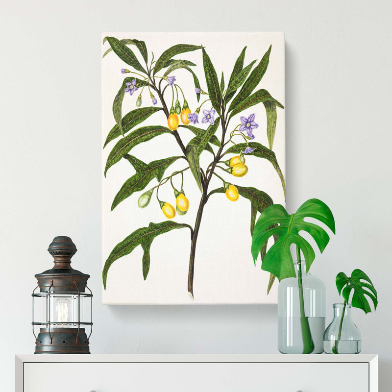 Poroporo Flowers by Sarah Featon - Wrapped Canvas, 60cm H x 40cm W x 3cm D
