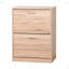 Armoire à chaussures moderne avec 2 tiroirs rabattables pour le vestibule
