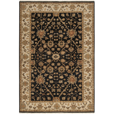 Derosier Wool Oriental Indoor Rug