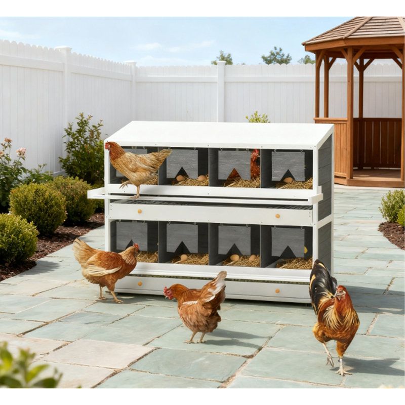 Boîte de nidification pour poulets, 8 boîtes de rangement en bois pour poulailler