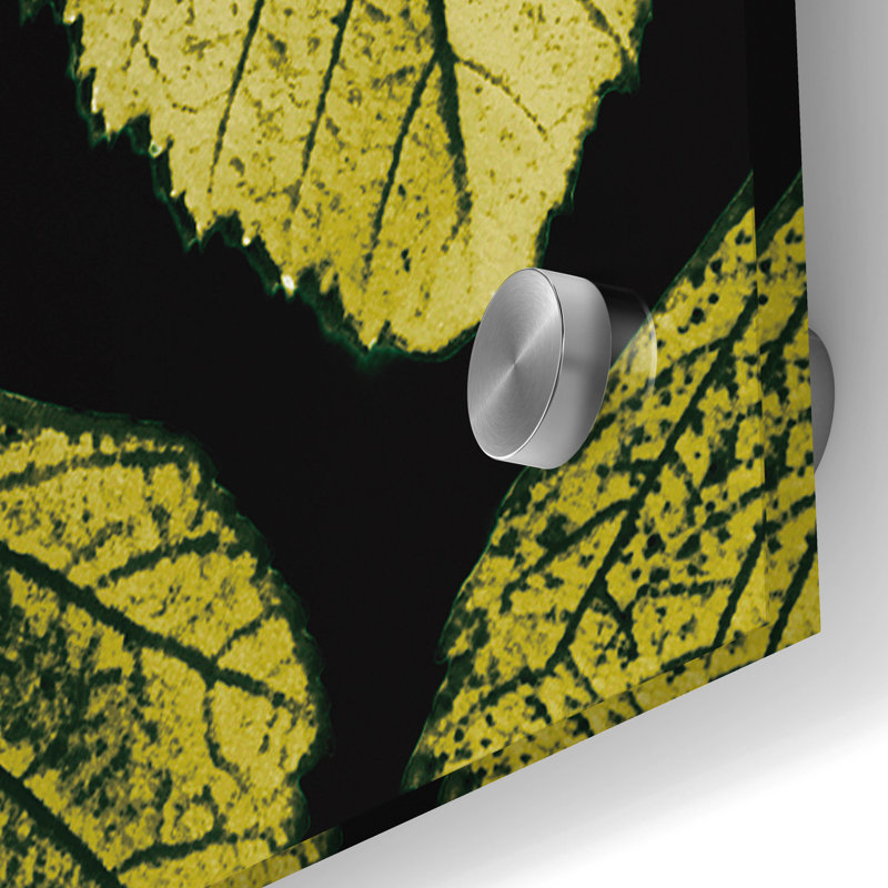 «Green Leaves» par PhotoINC Studio, H 36 po x l 36 po x P 0,2 po