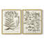 «Sepia Botanical Journal I», reproduction encadrée de qualité supérieure - prête à être accrochée - aucun clou requis - aucun clou requis-1950326693-1950326696