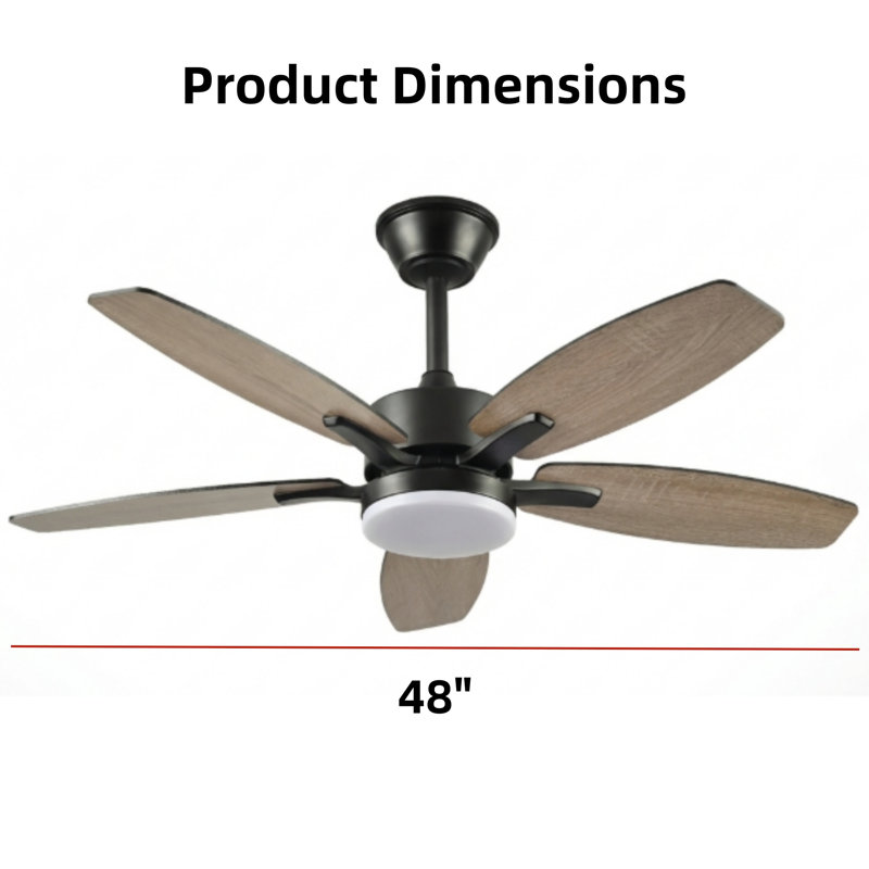 Ventilateur de plafond 48 pouces à cinq pales en contreplaqué avec lumière et télécommande, adapté aux patios, salons, chambres à coucher, bureaux, etc. (noir mat)