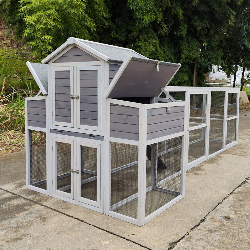 Poulailler en bois, Gris
