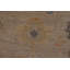 Tapis turc Oushak