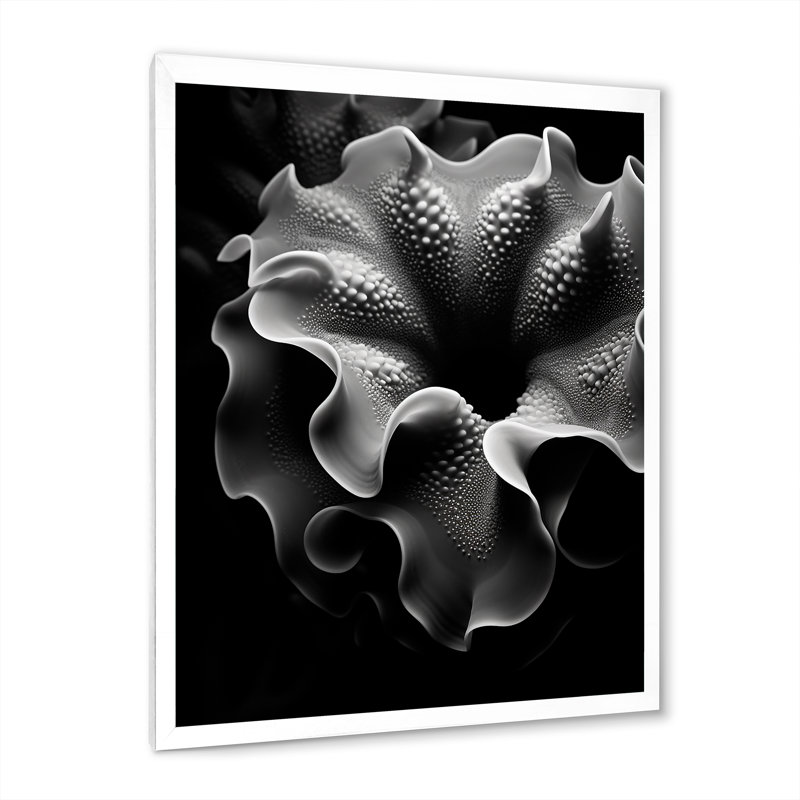 «Black and White Underwater Anemone Flow», reproduction sur toile, H 32 po x l 24 po x P 1 po, Cadre photo blanc