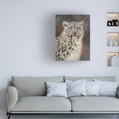 David Stribbling Snow Leopard Canvas Art
