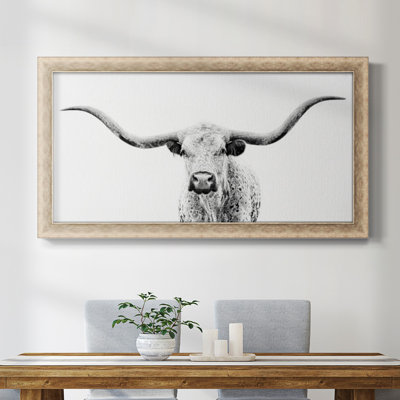" Longhorn Gaze "