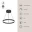 Luminaire suspendu 1 lumière Cerchio-107141913-98799080