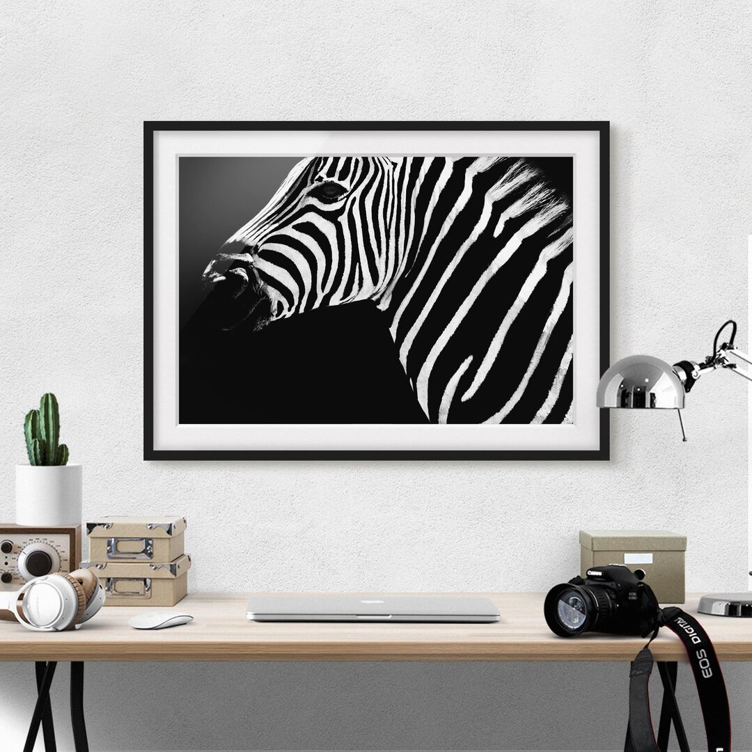 Gerahmtes Poster Zebra Safari