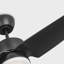 Colgin 44 LED LED Downrod Ceiling Fan
