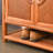 New Chinese style high-end shoe cabinet
