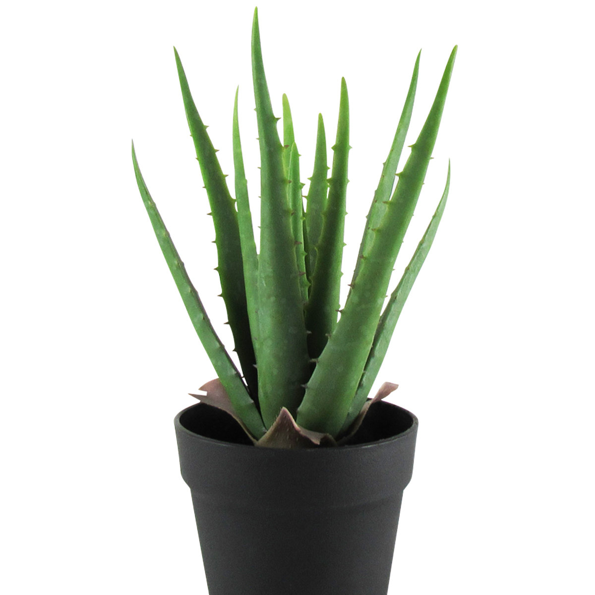 Plant in Pot,  13.5"H x 9" W x 9" D