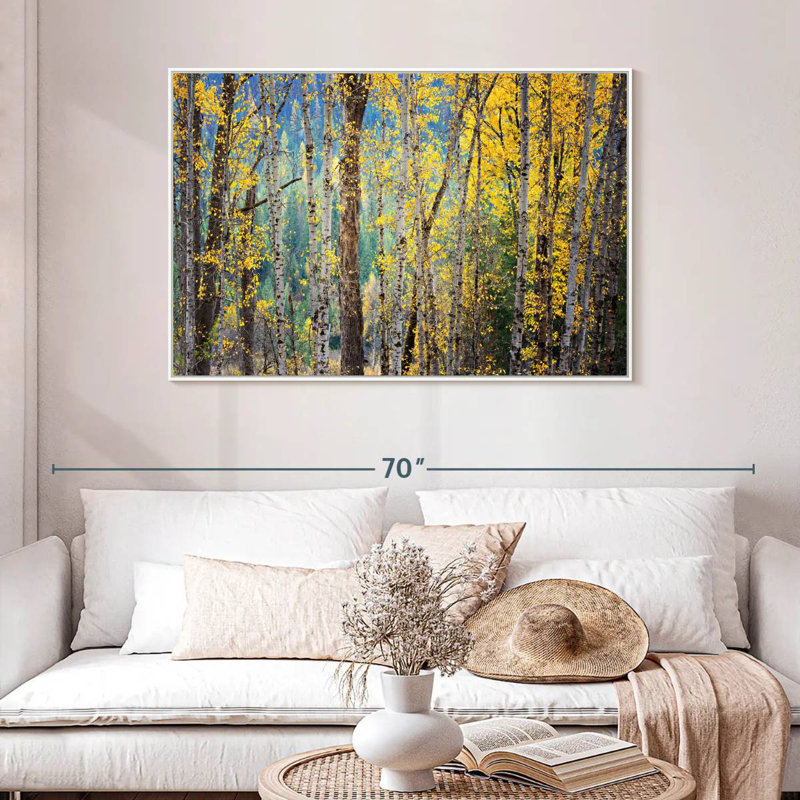 Kootenay Fall II, Cadre flottant blanc, 46 po x 31 po