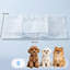 Dog Diaper