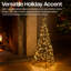 LED Indoor / Outdoor Lantern-1664755100