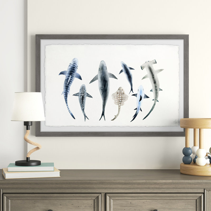 Saugatuck Shark Types II Framed Print, 12" H x 18" W x 1.5" D
