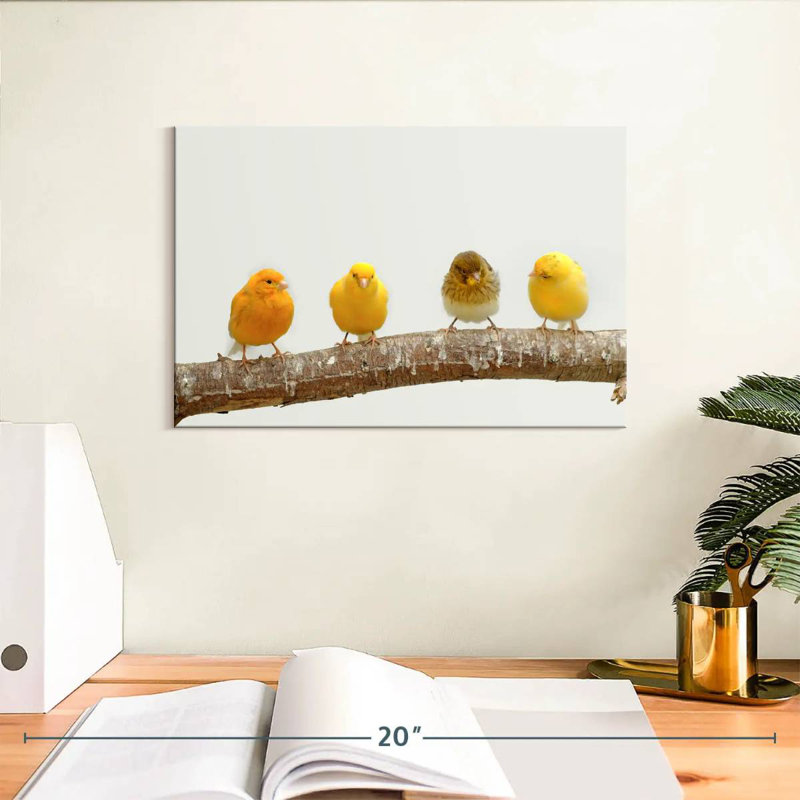 Four Canary Birds