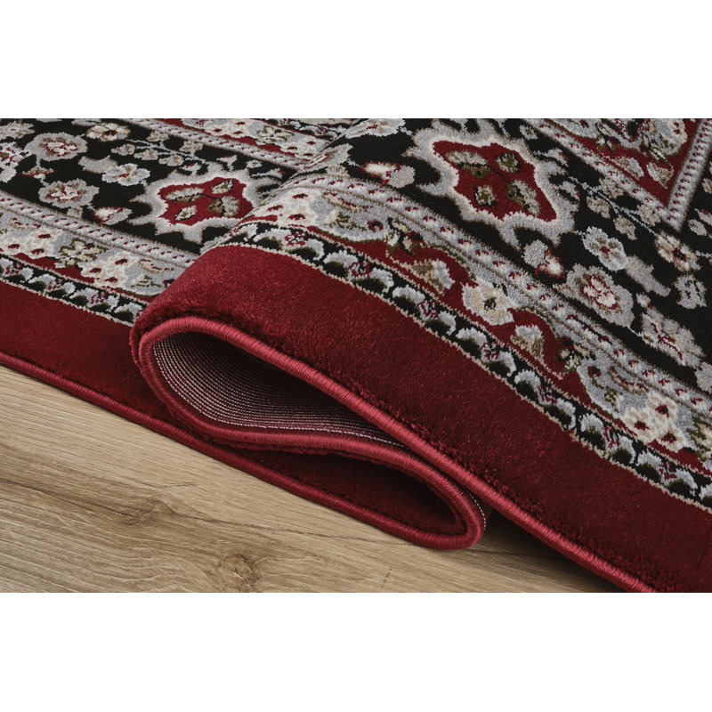 Sutphin Collection Floral Transitional Area Rug, Red and Black, Rectangle 2' x 3'