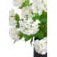 Sylvie RealTouch Snowball Hydrangea Arrangement