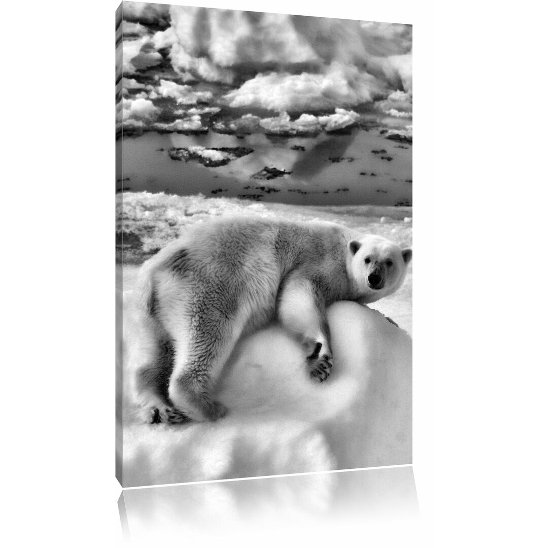 Leinwandbild Schöner Eisbär auf kleinem Eisberg in Monochrom