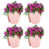 Pink is out of stock