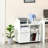 Zendeya 31.5'' Wide 2 -Drawer Mobile File Cabinet-105016158