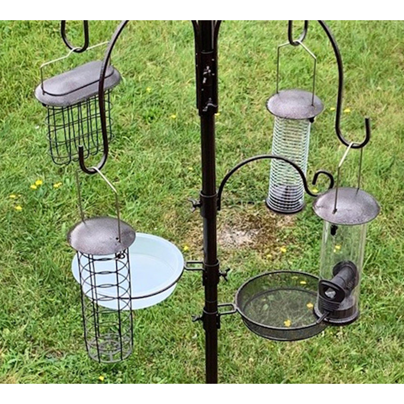 Pinkston Steel Feeding Station