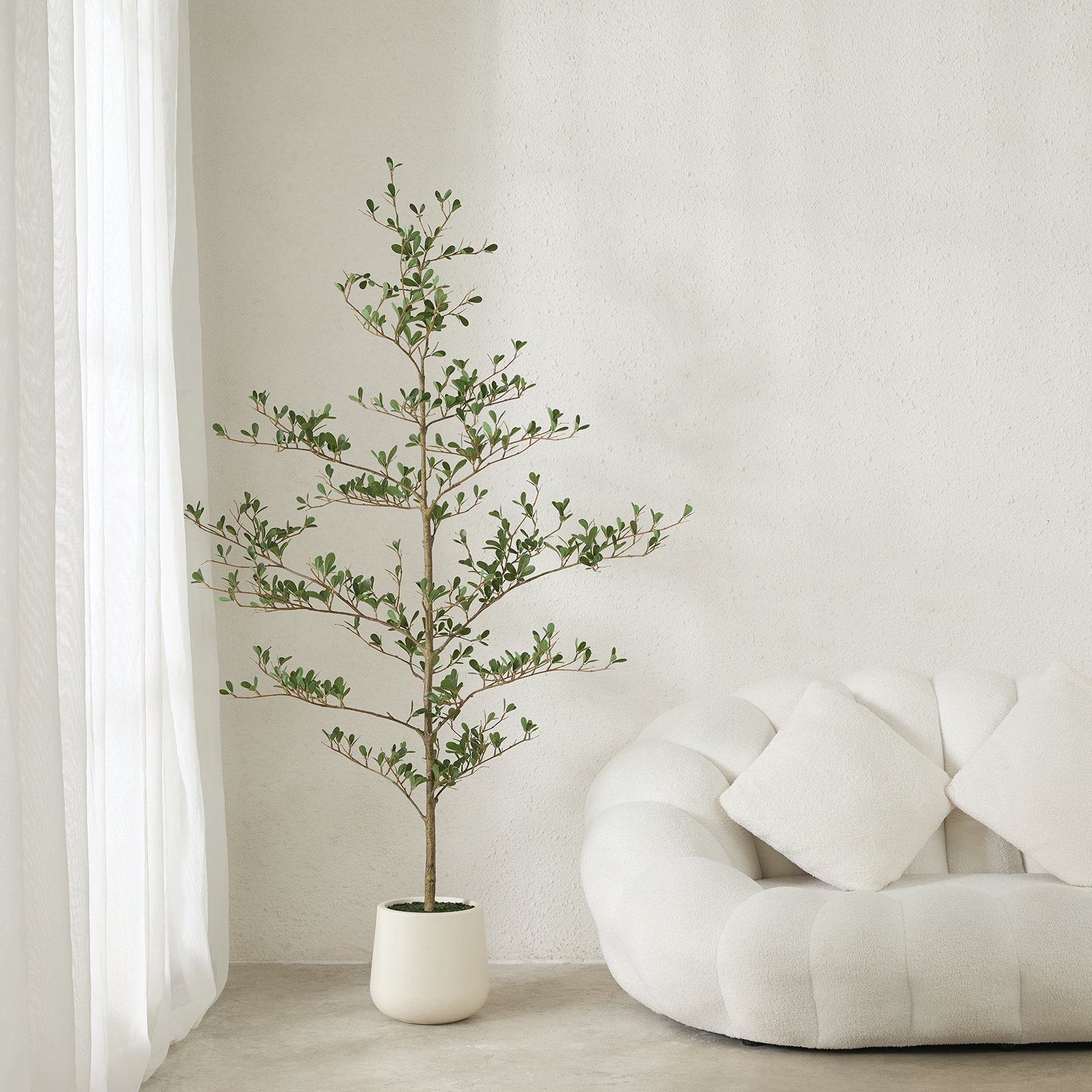 Adcock Olive Tree in Planter, 60" H x 20" W x 20" D