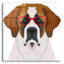 Art mural en verre épique «Saint Bernard portant des lunettes hipster» par Furbaby-15730368