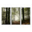 «Light In Dense Fall Forest With Fog», ensemble d'art mural sur toile encadré paysage-875775170-875775229