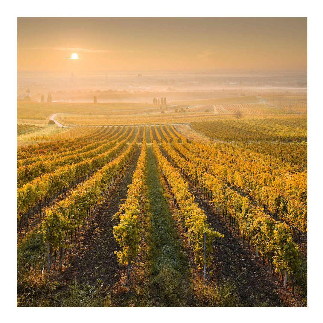 Seidenmatte Tapete Herbstliche Weinberge bei Wien