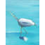 Egret 1 Print by Phyllis Adams