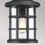 Bedhelm Outdoor Hanging Lantern