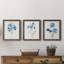 «Blue Blossom Botanical I», ensemble de 3 impressions sur toile encadrées-334453161-334453160